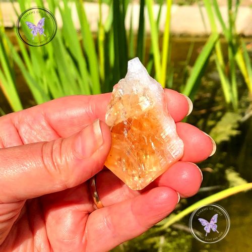 Natural Raw Citrine Crystal Point